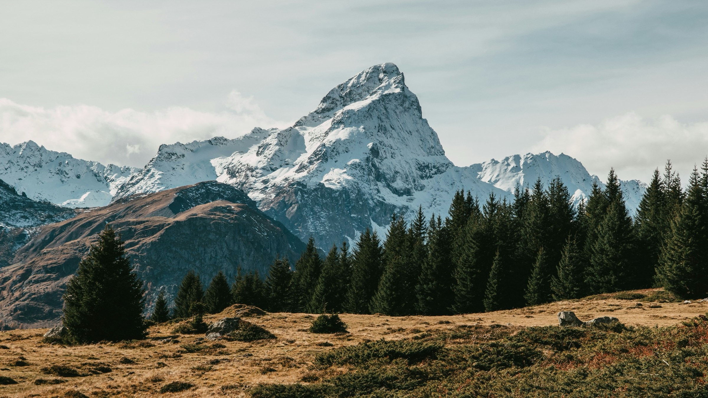 Schneebedeckter Alpengipfel über einem Nadelwald